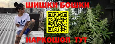 гашик Нарткала