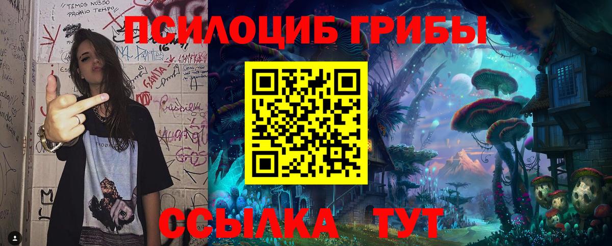 Галлюциногенные грибы мухоморы  Вход с VPN  Якутск  Галлюциногенные грибы Psilocybine cubensis 