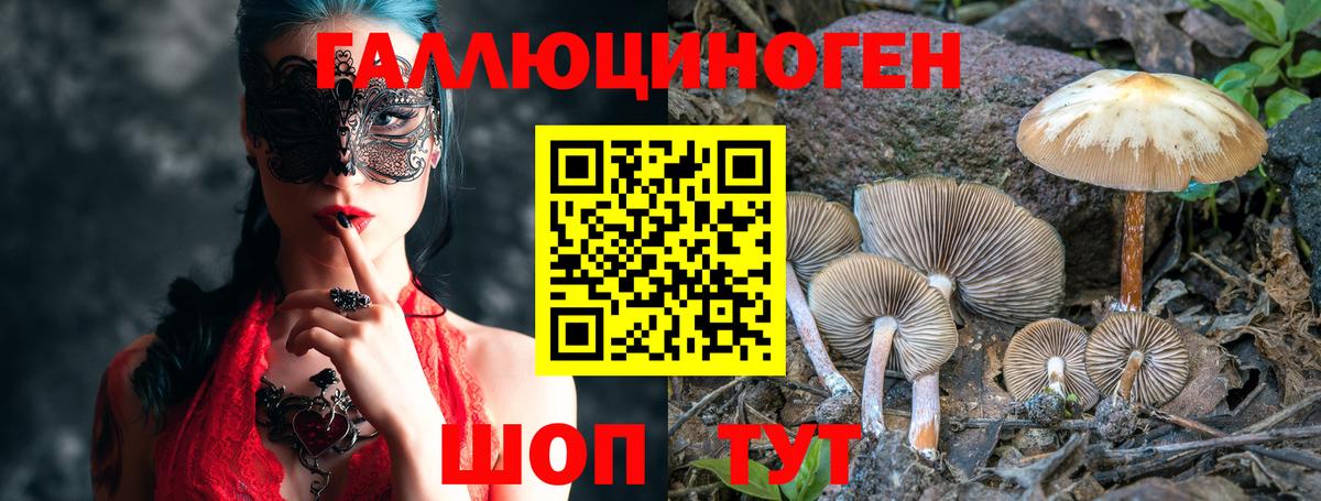 Псилоцибиновые грибы Psilocybe Якутск