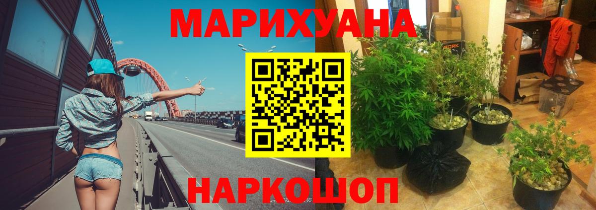 Каннабис ГИДРОПОН  Каннабис Amnesia  Марихуана сатива  Вход с VPN  Шишки марихуана THC 21%  Якутск 